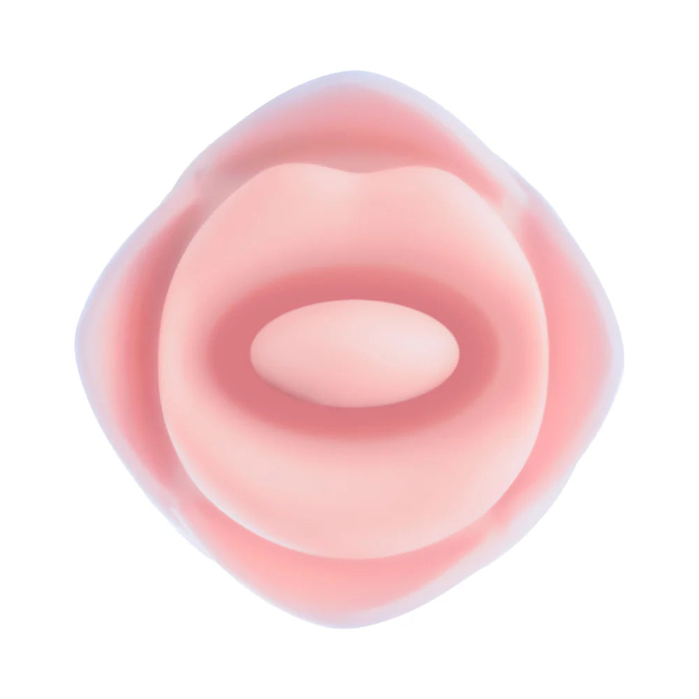 Blush Collection Kissing Rose