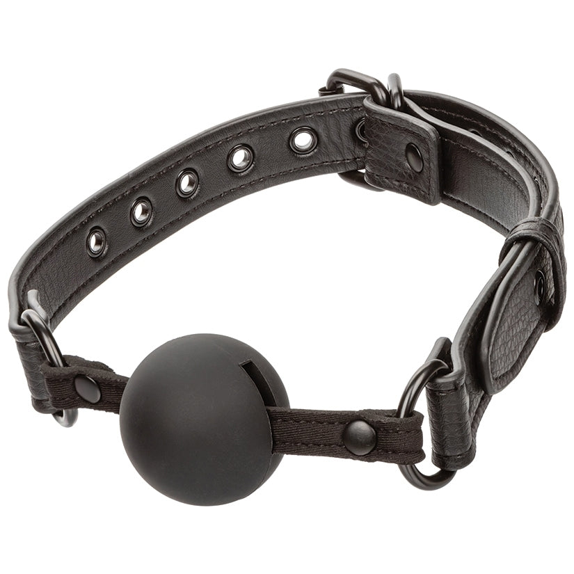 Nocturnal Collection Sensory Gag