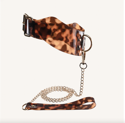 Amber Collar &amp; Leash Set