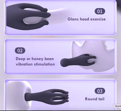 Gans Endurance Trainer