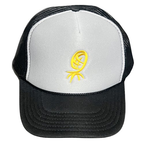 Hat with Swinger logo