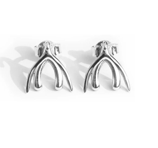 Sterling Silver Anatomical Earrings
