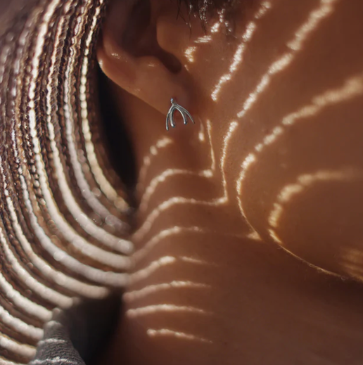 Sterling Silver Anatomical Earrings